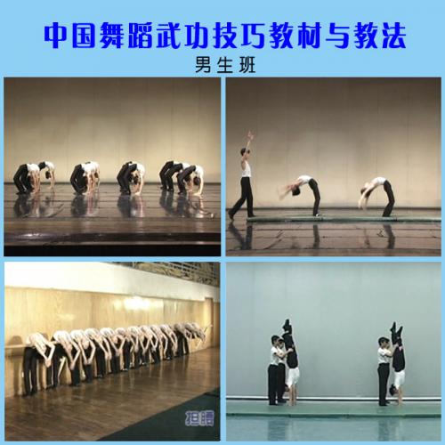 中国舞蹈武功技巧中专男班教材与教法 北京舞蹈学院附中教材