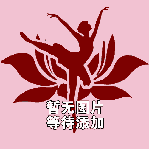 芭蕾舞剧-红色娘子军 2VCD