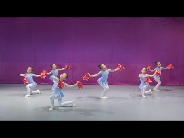  2016版浙江省舞蹈考级10.jpg